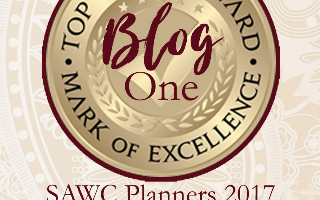 2017 In Review – SAWC Planners